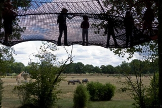  Por encima de los animales 